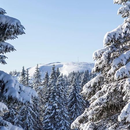 Waldblick Titisee Eksteriør bilde