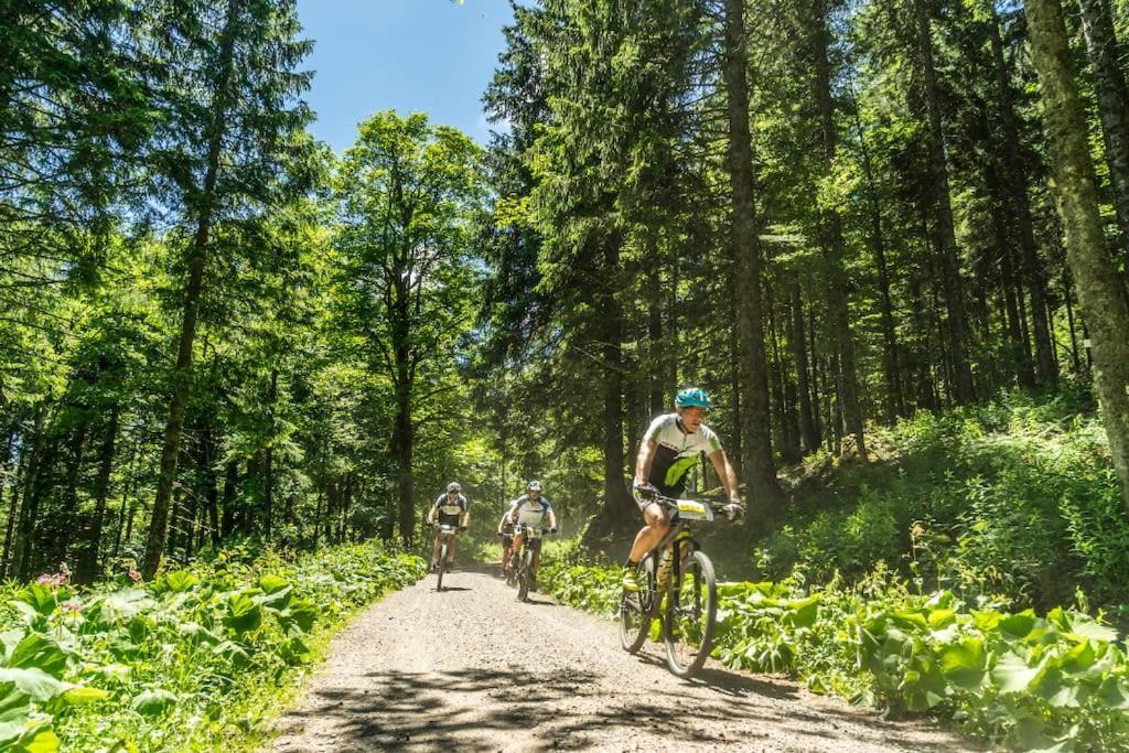 Waldblick Titisee Eksteriør bilde